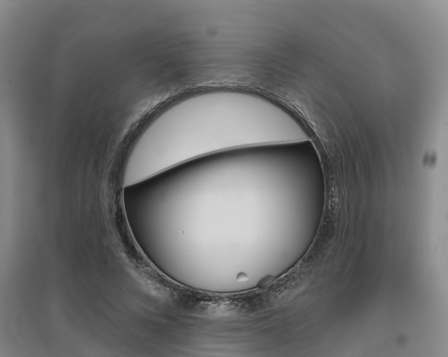 X0000095930688200801110919