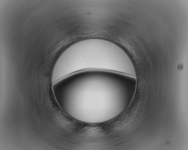 X0000095930689200801110919
