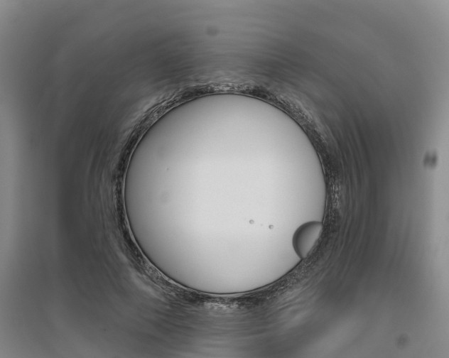 X0000095930690200801110919