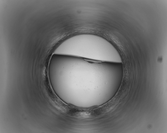 X0000095930692200801110919