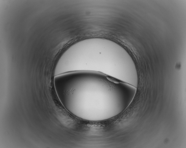 X0000095930693200801110919