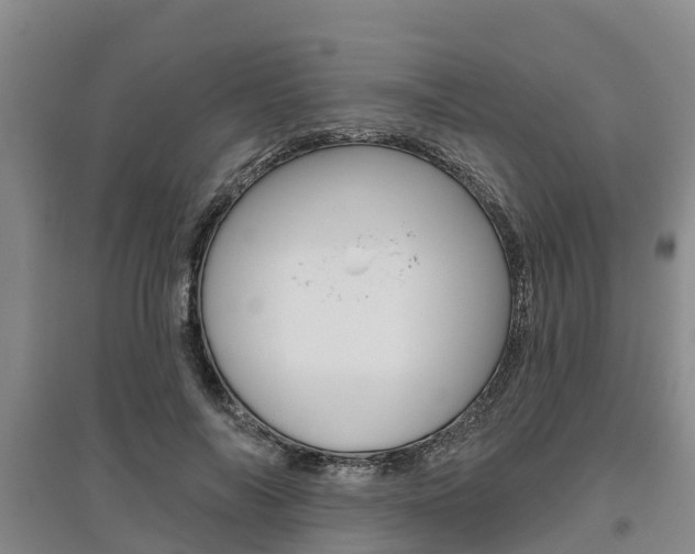 X0000095930694200801110919