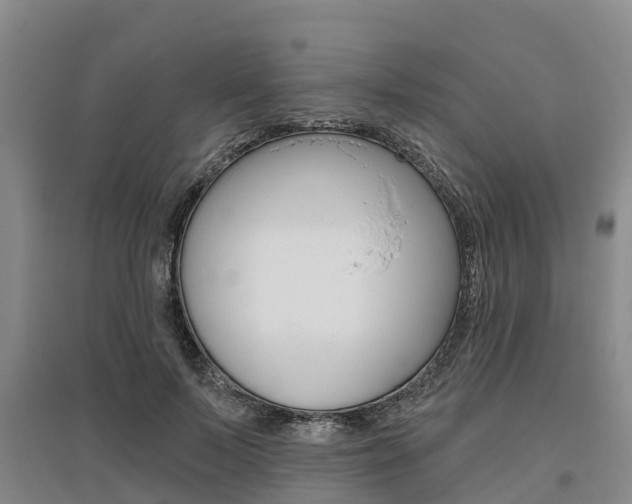 X0000095930695200801110919