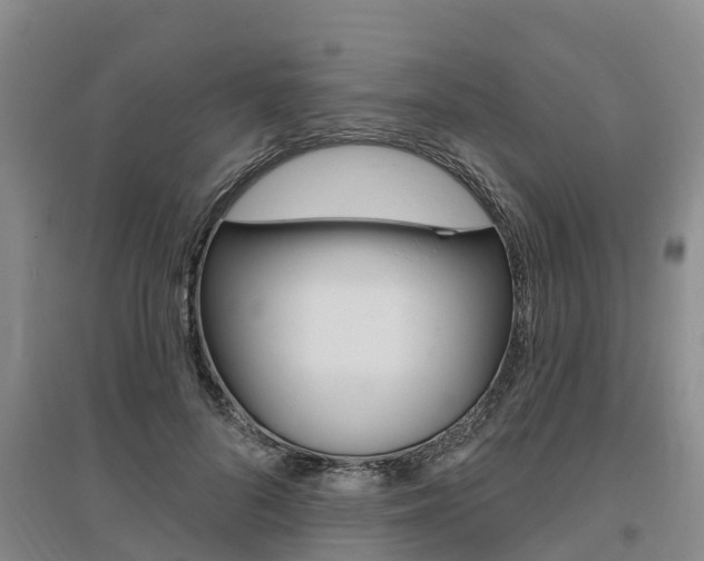 X0000095930696200801110919