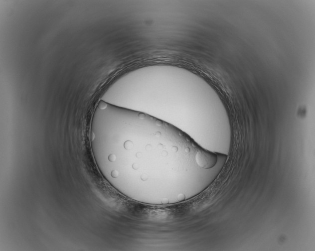 X0000095930698200801110919