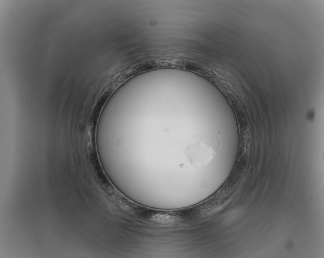 X0000095930699200801110919