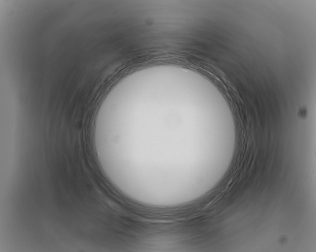 X0000095930701200801110919