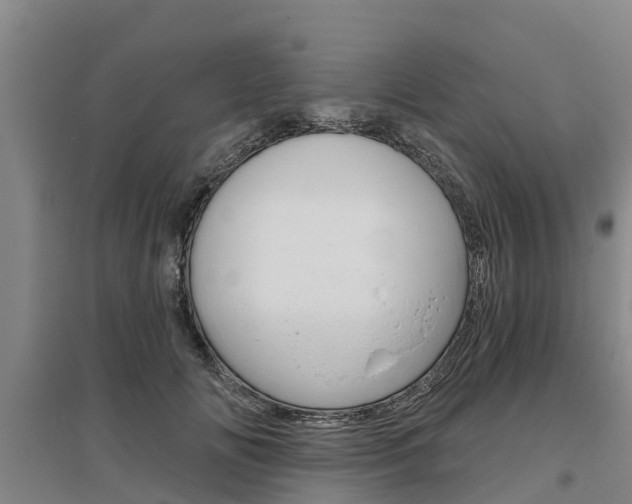 X0000095930702200801110919