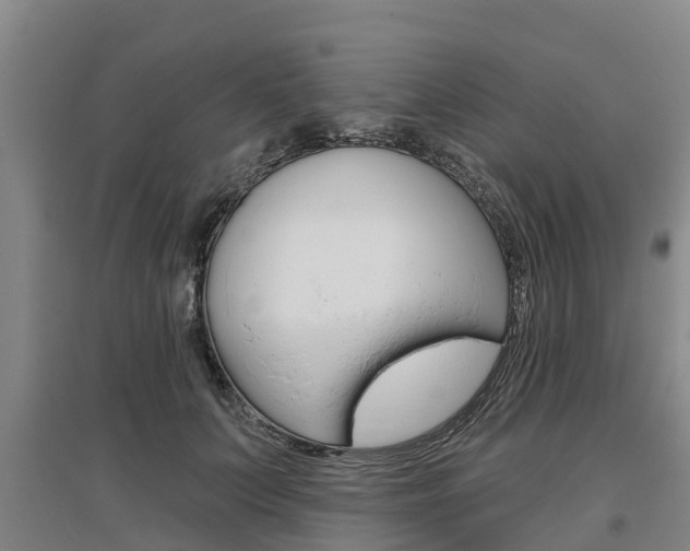 X0000095930703200801110919