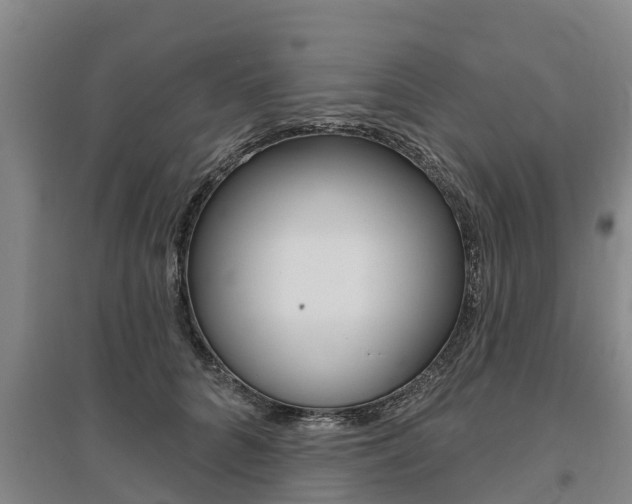 X0000095930704200801110919