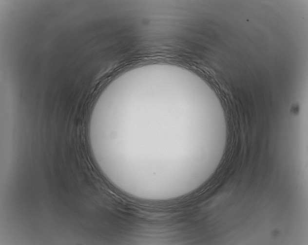 X0000095930705200801110919