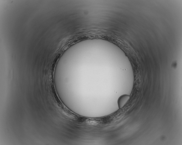 X0000095930706200801110919
