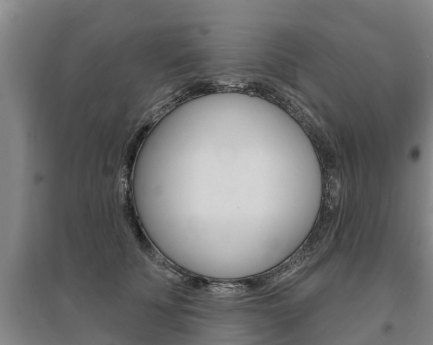 X0000095930707200801110919