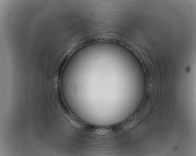 X0000095930708200801110919