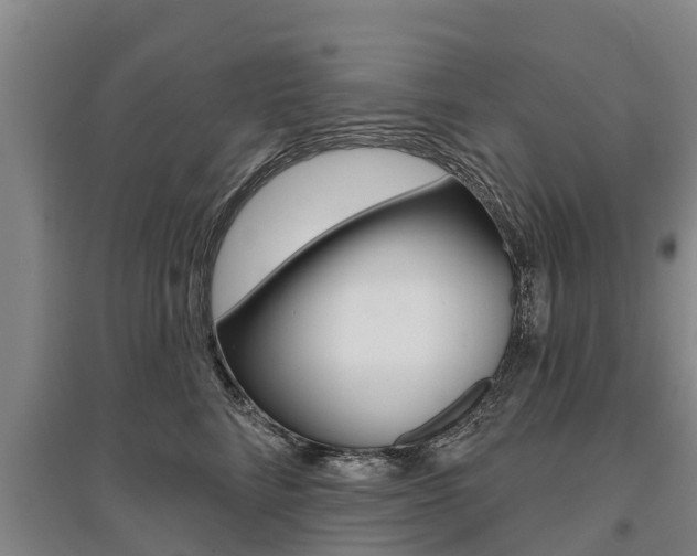 X0000095930712200801110919