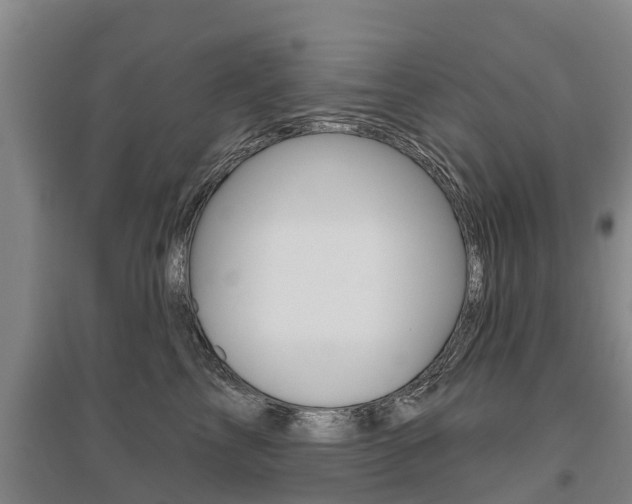 X0000095930713200801110918