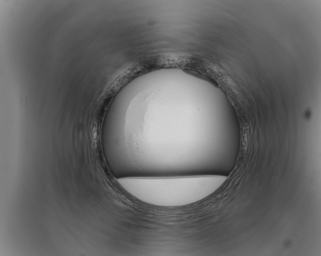 X0000095930716200801110918