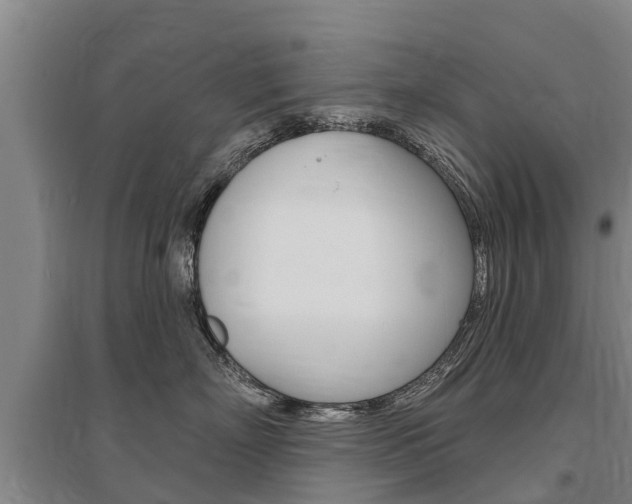 X0000095930718200801110918