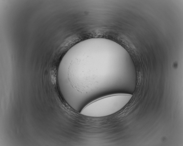 X0000095930719200801110918