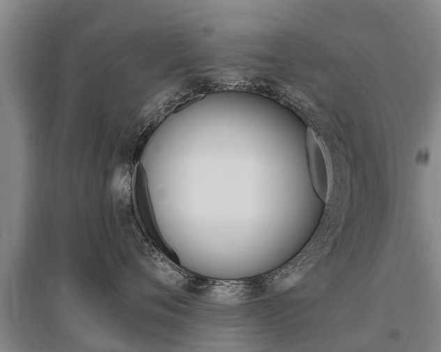 X0000095930720200801110918