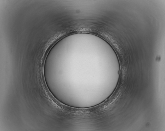 X0000095930721200801110917