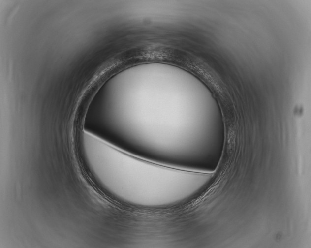 X0000095930722200801110917