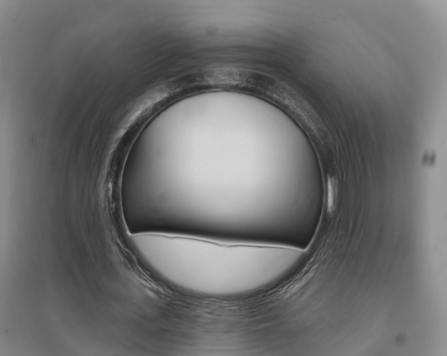 X0000095930723200801110917