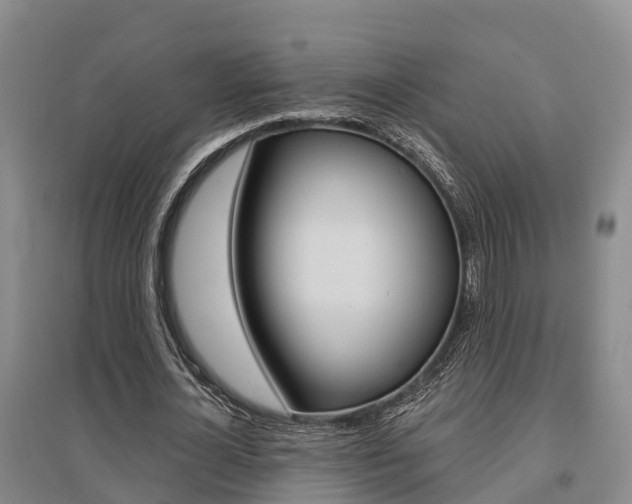 X0000095930724200801110917