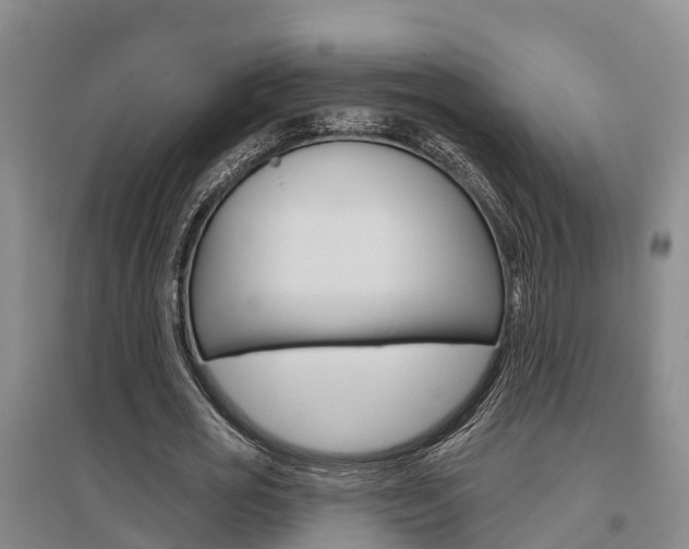 X0000095930725200801110917