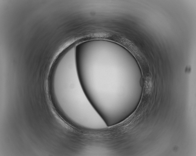 X0000095930726200801110917