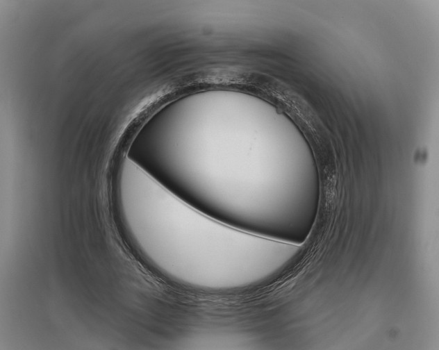 X0000095930727200801110918