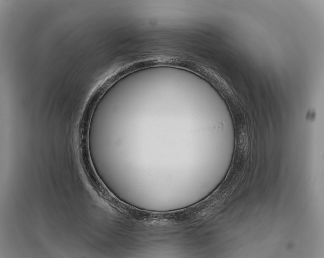 X0000095930730200801110918
