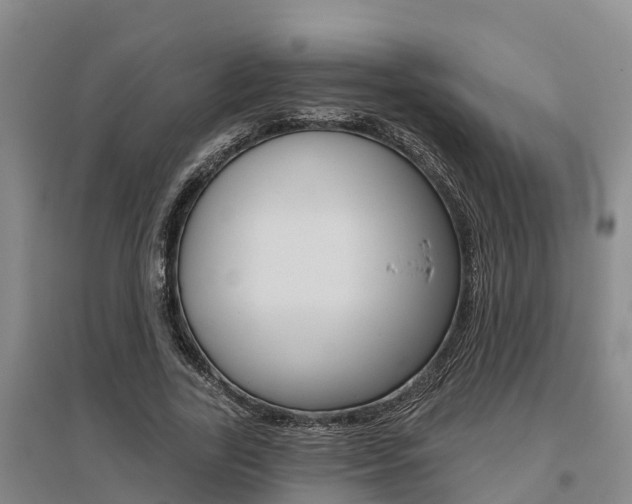 X0000095930731200801110918
