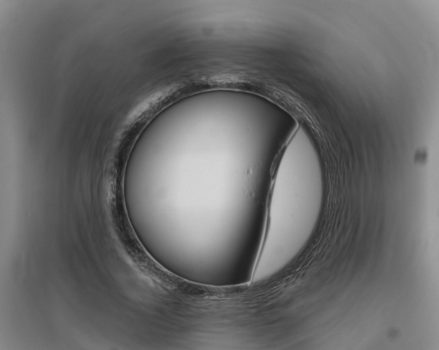 X0000095930732200801110918