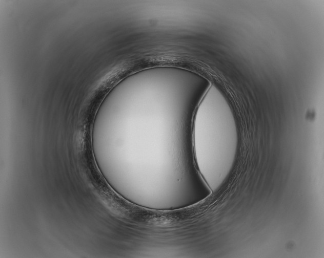 X0000095930735200801110918
