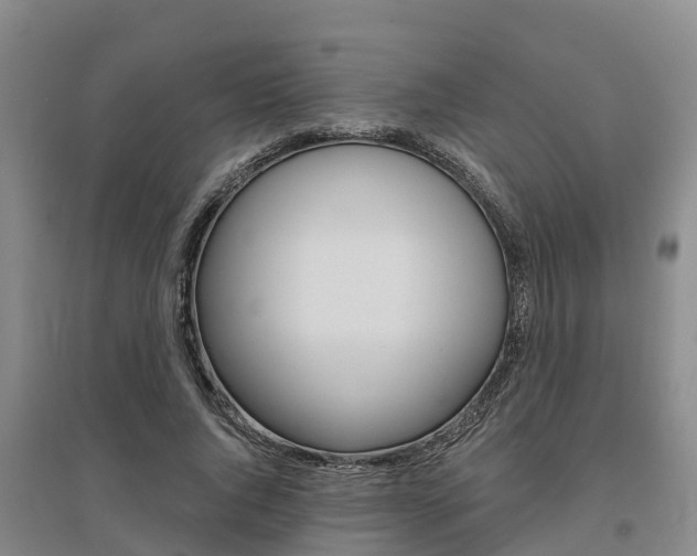 X0000095930736200801110918