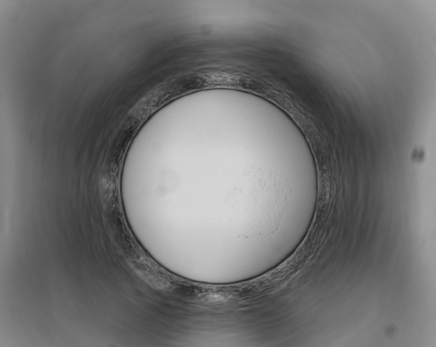 X0000095930737200801110918