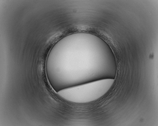 X0000095930740200801110918