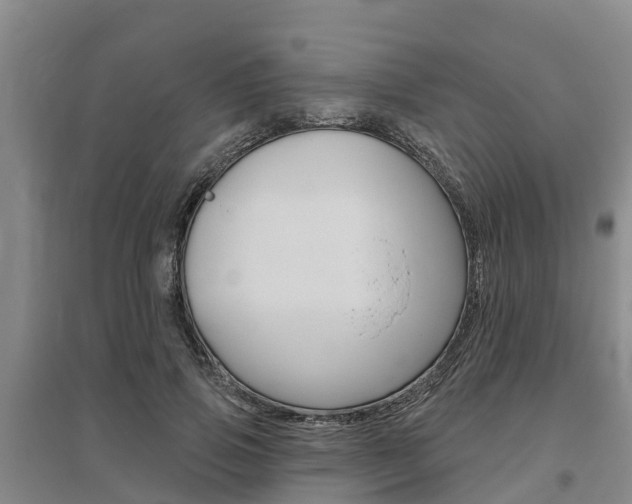 X0000095930741200801110918