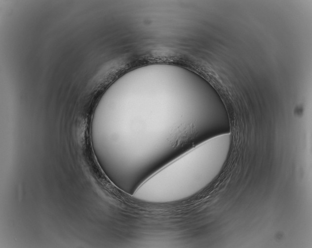X0000095930742200801110918