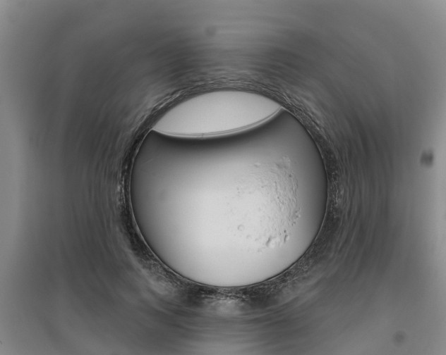 X0000095930743200801110918