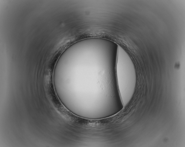 X0000095930744200801110918