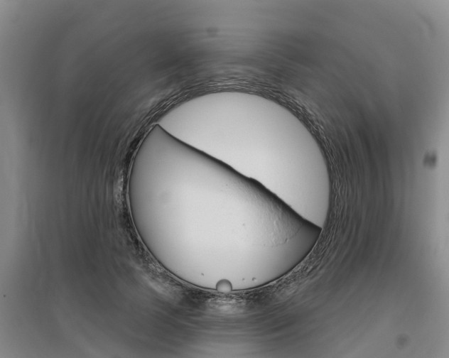 X0000095930745200801110918