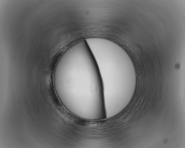 X0000095930746200801110918