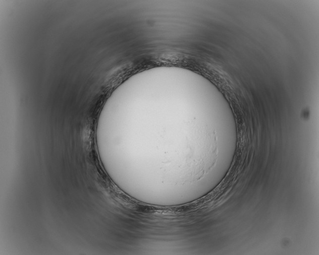 X0000095930749200801110918