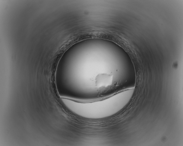 X0000095930750200801110918
