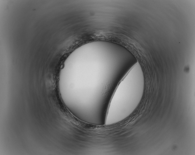 X0000095930751200801110918
