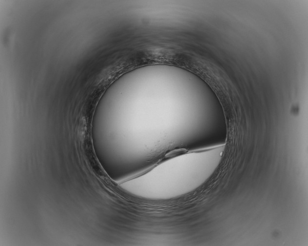 X0000095930752200801110918
