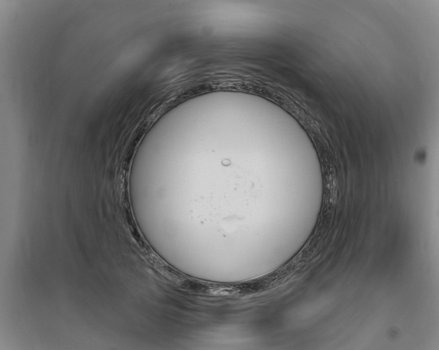 X0000095930753200801110918