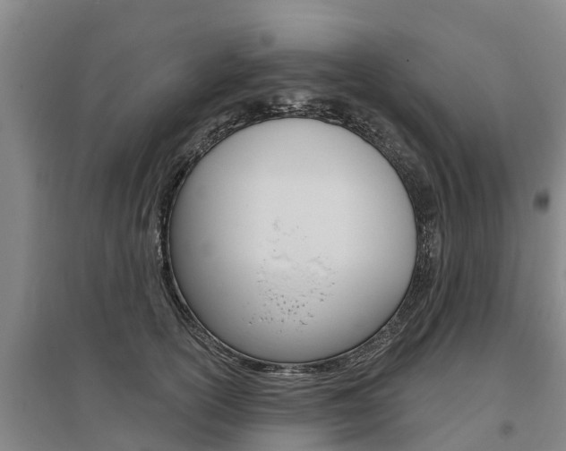 X0000095930754200801110918
